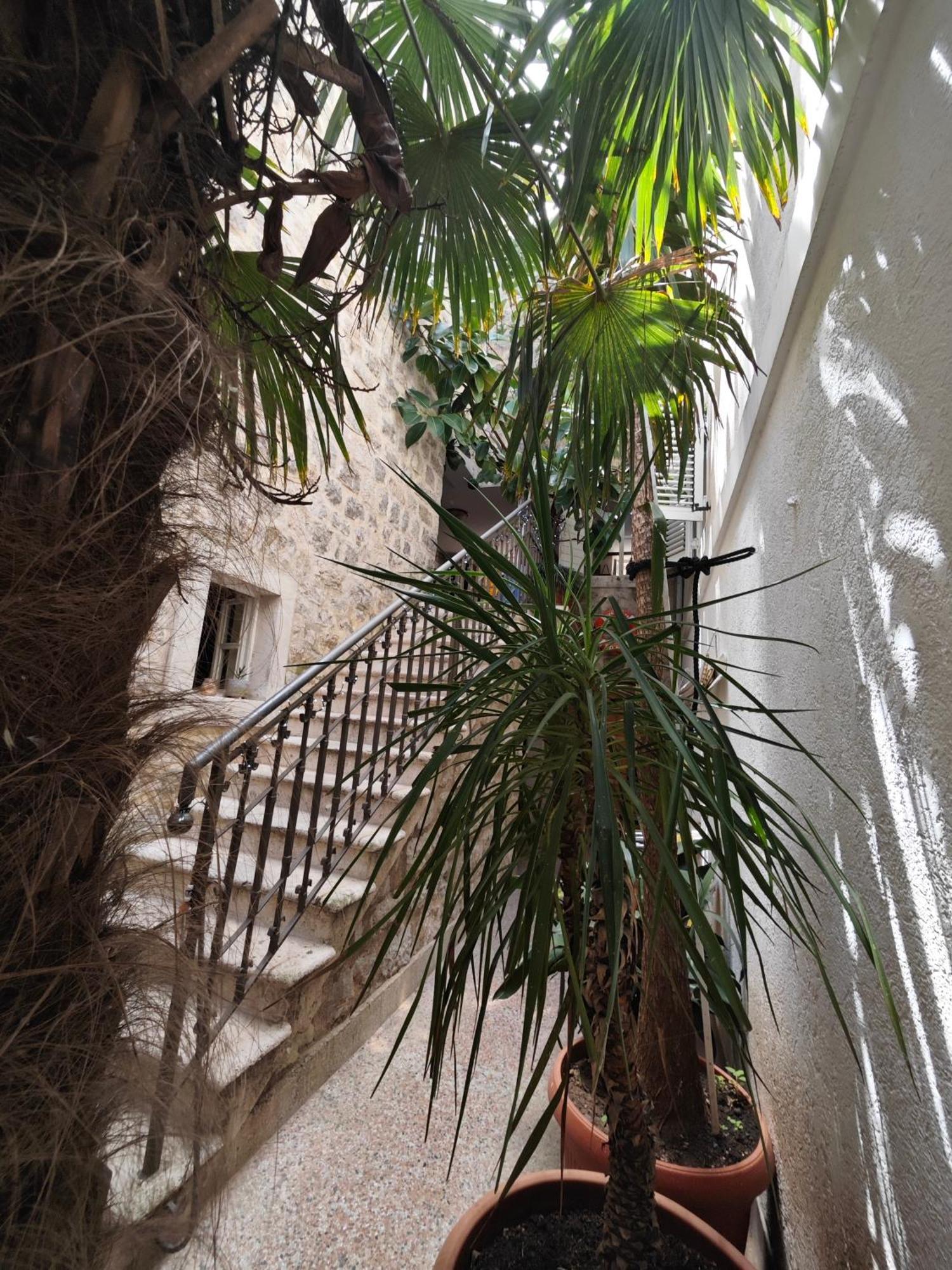 Beatrix Suites Budva Exteriör bild